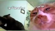 وای حقق همش دعوا و ماچ و بغل 😂😐