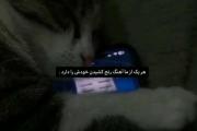 هعییییی💔:)) )