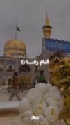 مهربون‌!صلواتی‌هدیه‌کن‌به‌امام‌رضا‌جانمون🌼