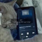 . .