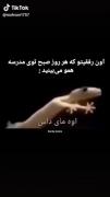 منو اون همکلاسی هام.😂🤦💔👀 :