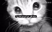 میشه بگی لطفا ............ ؟!😀