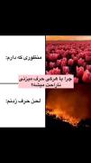 چرا با هر کی حرف میزنی ناراحت میشه؟ 💔❤️‍🩹