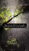 هعی تو هم شدی عین یکی از اونا....