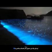 همون قدر قشنگ و خاصی:)💙‌‌‌‌‌‌