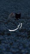 عاشقانه کاپلی دوتایی یار خوب نیمه گمشده