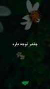 جایگاه من نزد امام زمانم•|💚|•