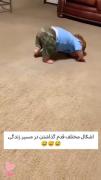 دارن وارد مسیر زندگی میشن 😍😄