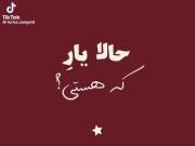 به من بی وفا حالا یار که هستی🙂🖤💤