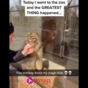 ‌‌میمونه‌‌ هنگ‌‌ کر‌‌د ‌‌😂‌‌ ‌