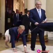 ‌‌سگ‌‌ ز‌‌ر‌‌د‌‌ از سگدونی 🦮‌
