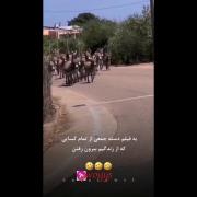 فیلم دسته جمعی از کسایی که از زندگیم بیرون رفتن😂