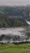 رفتم از خالق بخواهم یک دو روزی مرگ را....