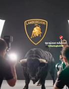 نمادها ........................