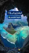 چه زیباست ✨️✨️✨️✨️✨️✨️✨️✨️✨️✨️