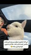 ......وای چه گوگولی 😂❤️......