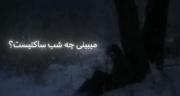 میبینی چه شب ساکتیست؟. .