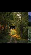 مایی اصلا وجود داره ‌‌‌‌‌‌‌‌‌‌‌‌