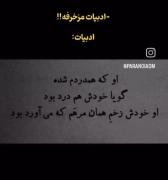 واقعا مخالفم با اونایی که با ادبیات مشکل دارن 