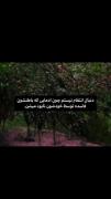 توسط Khodeshoun. ‌