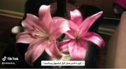 زیبایی متعلق به وجودشه:)mohadese🫠🎀