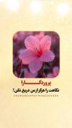 خدایا از من رو مگردان... 🌸✨ 