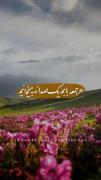 می‌گویند وقتی بیایی، اشک، دیگر از سرِ دلتنگی نمی‌ریزد...✨🤍