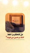 امام زمانم!✨ شب های جمعه دلم عجیب بی قرار کربلاست.