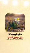 به خدا قسم امام مهربانی است صاحبم.🥺🫀 