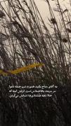 شب حمله همهمه بود:)