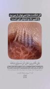 معجزه دیگه ای از قرآن:)