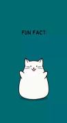 (:Fun fact :) ................