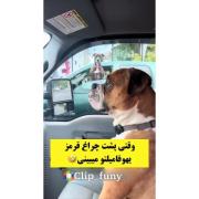 وقتی تو خیابون یکی از فامیلاتو میبینی: 