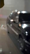 اینم ی کلیپ برای شوتی سوارای پیجم🫠🎀