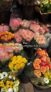 صدای کودک درونم‌ وقتی گل میبینم😍🌼