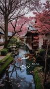 متولدین هر ماه به کدوم کشور تعلق داره