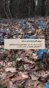  حق :). . . 