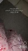 به‌قول‌بانو‌زلیخا؛‌‌‌‌‌‌‌‌‌‌‌‌‌‌