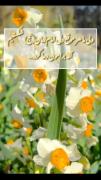آقا برامون دعا کرد..💔‍‍‍‍‍‍‍‍