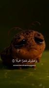 صوت القرآن🥲❤️‍🩹‍‍‍‍‍‌‍‍‌‌‍‍‍‍
