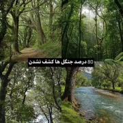 من نمیتونم باور نکنم میدونم شما هم نمیتونین 🥺🥺🥺🥺🥺🥺🥺🥺🥺🥺