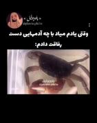 وقتی‌میبینم‌به‌چه‌کسایی‌گفتم‌رفیق‌خندم‌میگیره🤌🏻😅