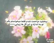ببخشیدا ولی تو چرا انقدر زیبایی بانو؟