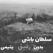 برای رفیق صمیمی............... 