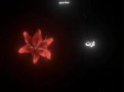 ازت متنفرم ...................