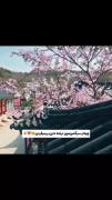 بی صبرانه منتظر فصل دوم این فیلم:) 