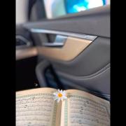 زیاد طول نمی کشه ولی قیامت غافلگیرت می‌کنه✨