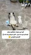 ما‌مردیم‌کاری‌بهمون‌نداشته‌باش🗿
