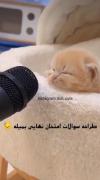 لعنت به درس ❌و مشق 🚫و مدرسه ⛔️و امتحان خدا لعنت کنه 📛