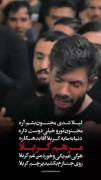 هرکی غم یکی رو خورد من غم کربلا.. 